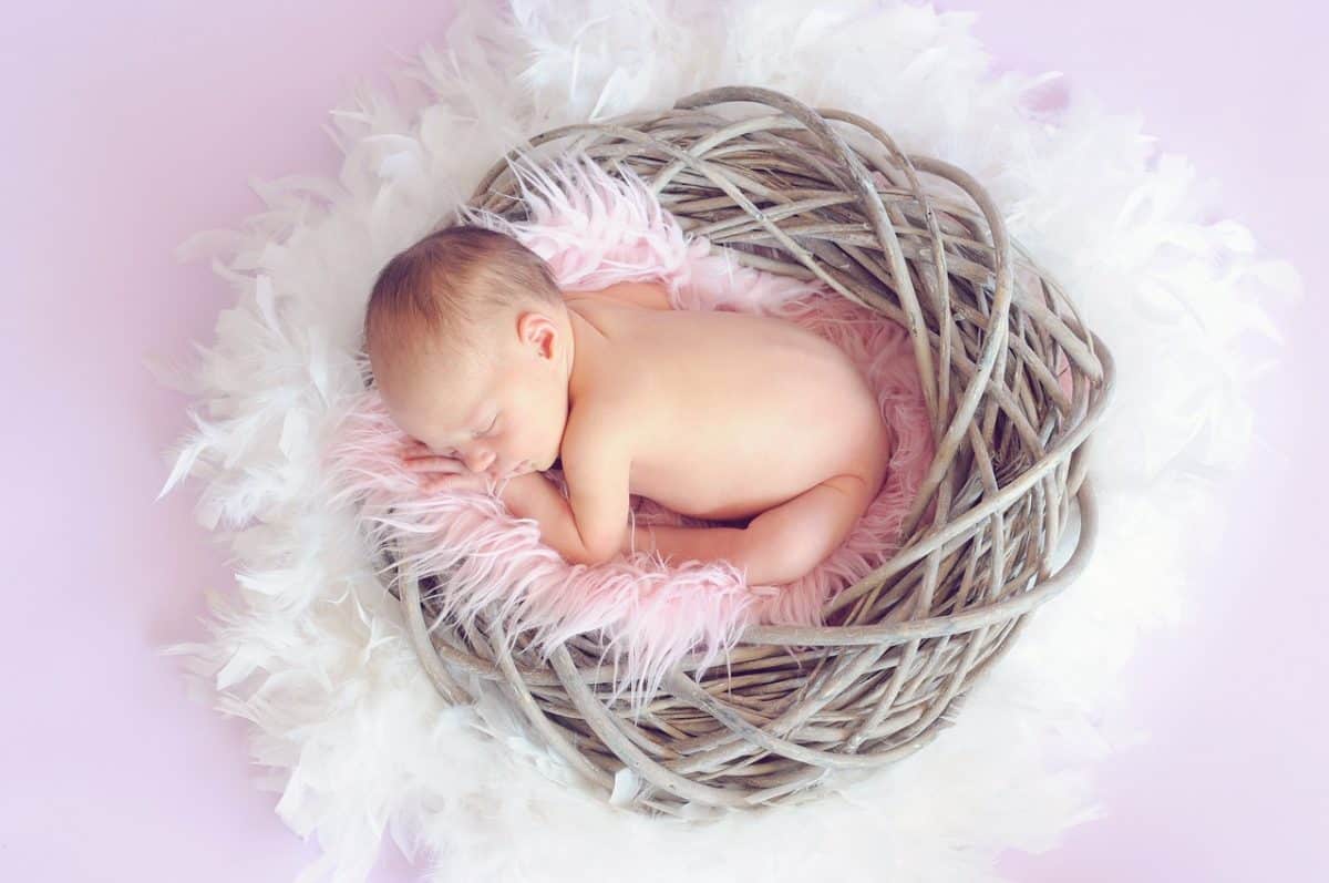 Nouveau-né qui dort dans un nid rose