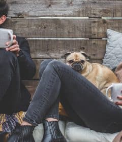 Rencontrer des femmes asiatiques via Internet