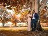 couple kissing under brown tree during daytime